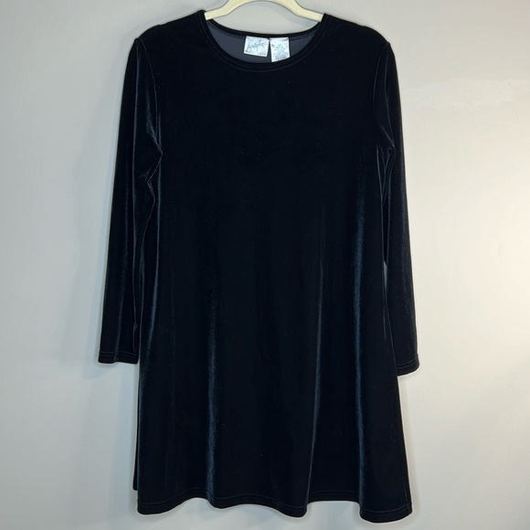Jacqueline Ferrar Women's Black Velvet Scoop Neck A Line Dress size 10P - Picture 1 of 5